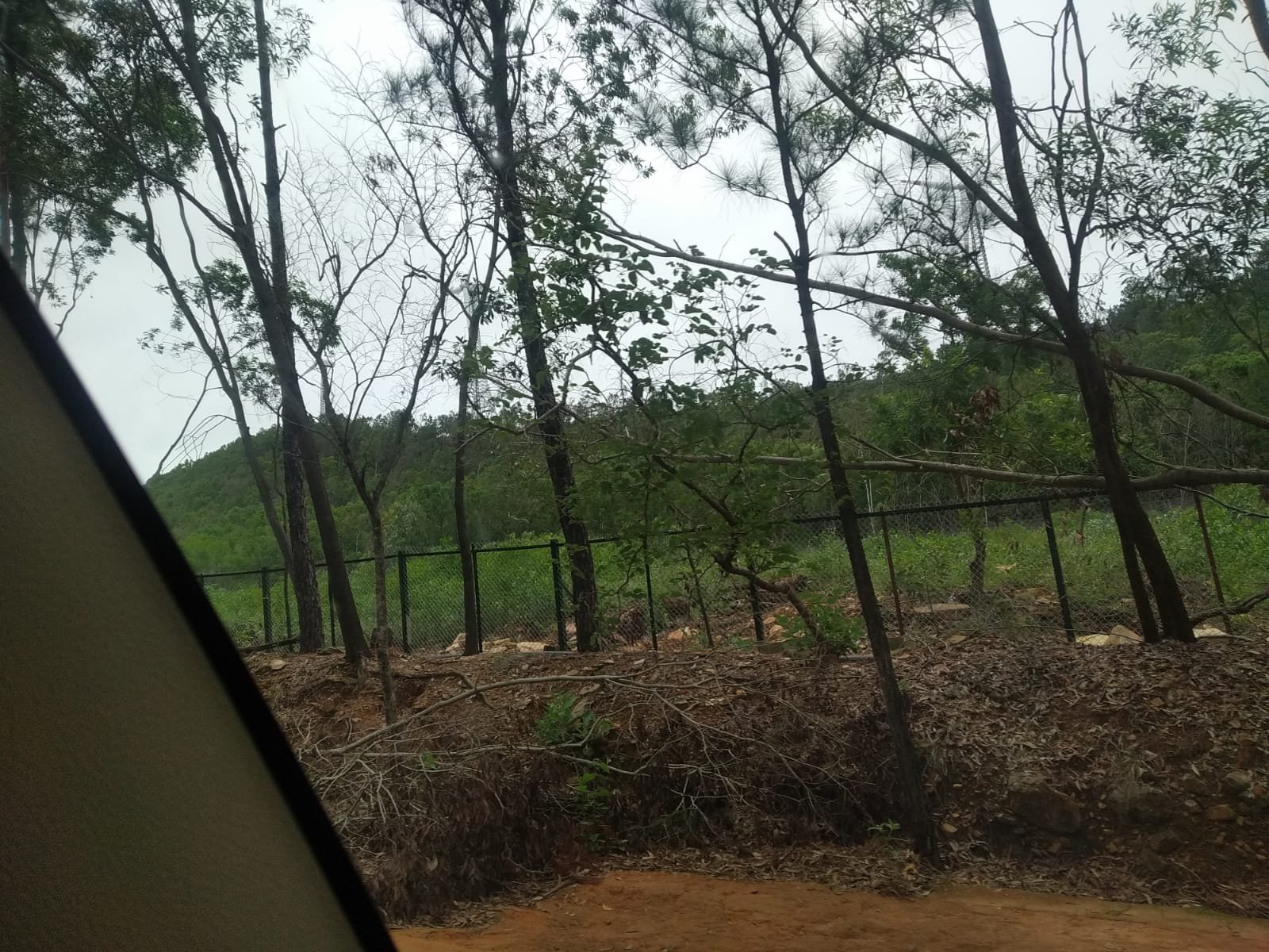 Tirupati forest area during frip by innova